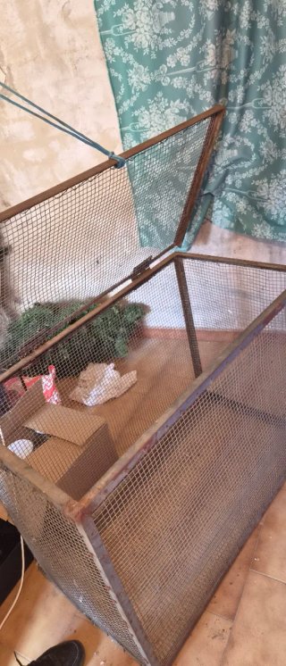 Jaula grande para pájaros