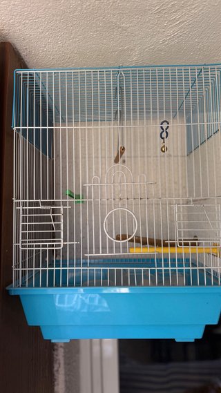 Jaula para pájaros grande