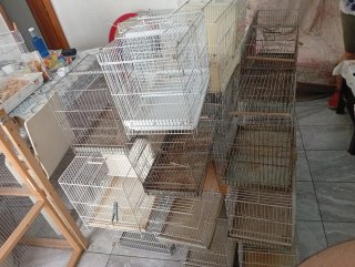 Jaula de cría para canarios