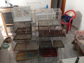 Jaula de cría para canarios