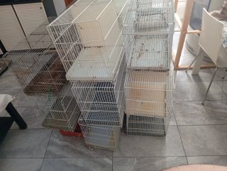 Jaula de cría para canarios