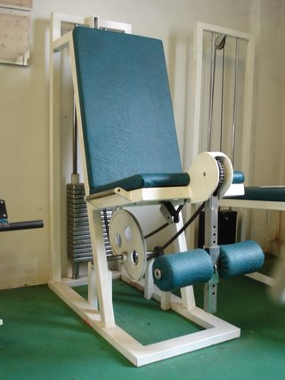 Gimnasio Completo - Máquinas y Accesorios