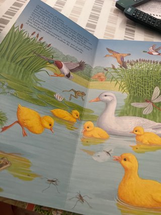 Libros infantiles