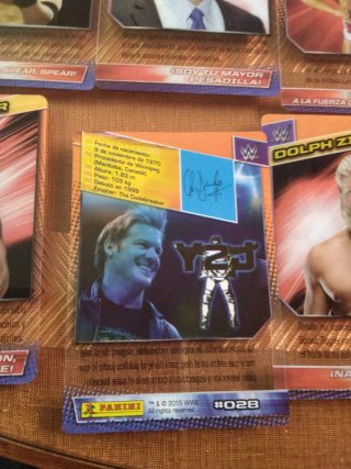 Tarjetas WWE Panini 2015