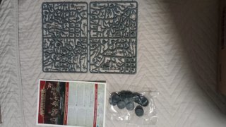 10x Cryptguard Warhammer AOS