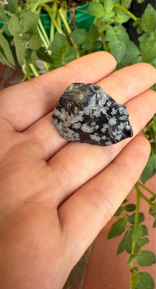mineral Obsidiana copo de nieve mineral