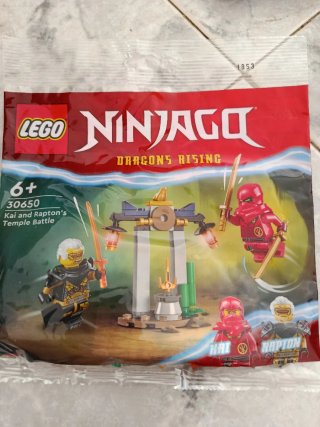 Lego Ninjago 30650 Kai y Raptor