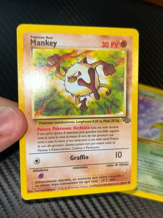 Carte Pokémon Jungle Mankey e Bellsprout