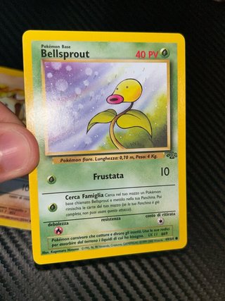 Carte Pokémon Jungle Mankey e Bellsprout