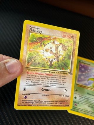 Carte Pokémon Jungle Mankey e Bellsprout