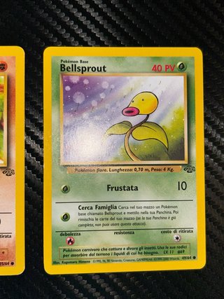Carte Pokémon Jungle Mankey e Bellsprout