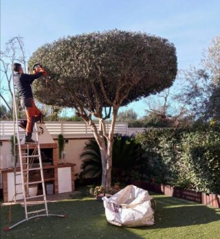 Jardinero económico