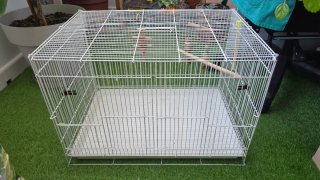 Jaula grande blanca para pájaros