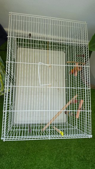 Jaula grande blanca para pájaros
