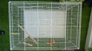 Jaula grande blanca para pájaros