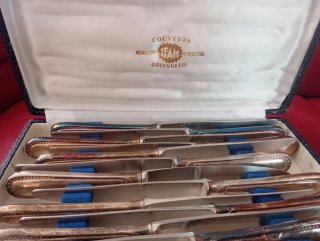 24 Coltelli in argento in scatola