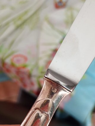 24 Coltelli in argento in scatola