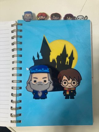 Lote de agenda Harry Potter Semanal y libreta