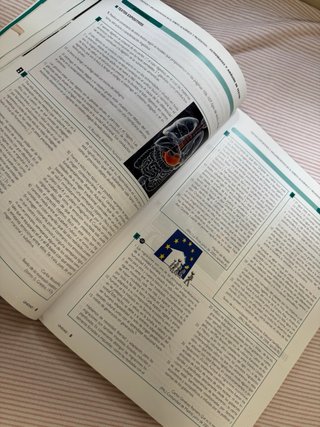 Lengua castellana y literatura 2 Bachillerato