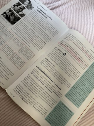 Lengua castellana y literatura 2 Bachillerato
