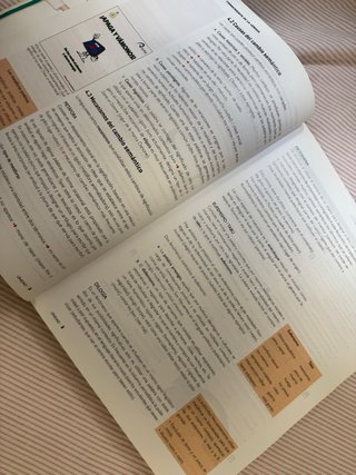 Lengua castellana y literatura 2 Bachillerato
