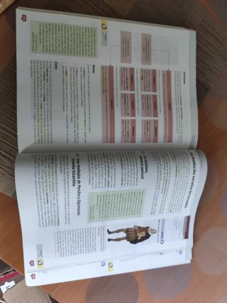 Lengua y Literatura 1 Bachillerato : primer curso.