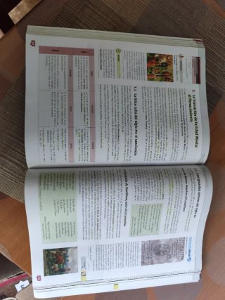 Lengua y Literatura 1 Bachillerato : primer curso.