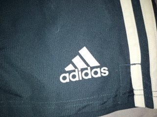 Pantalón Corto Real Madrid Adidas Gris 18/19