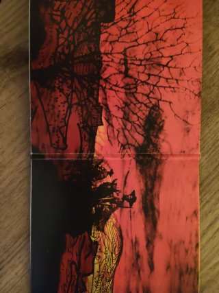 CD Blitzen Trapper - Destroyer of the Void