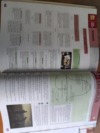Lengua y literatura 2 bachillerato : segundo curso