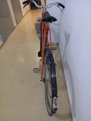 Bicicleta Vintage koga miyata