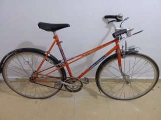 Bicicleta Vintage koga miyata