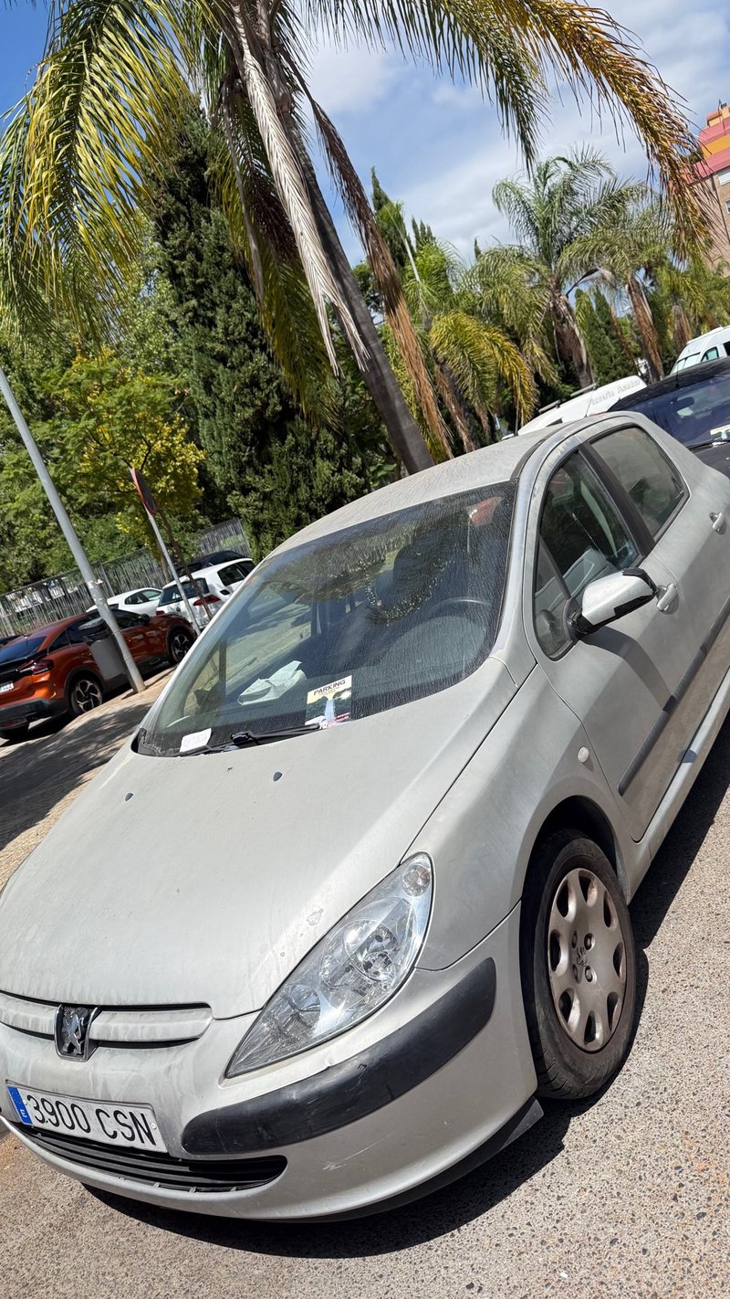 Peugeot 307 2004 Milage 355000 - foto 1