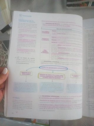 Lengua y Literatura, 4 ESO, Operación mundo