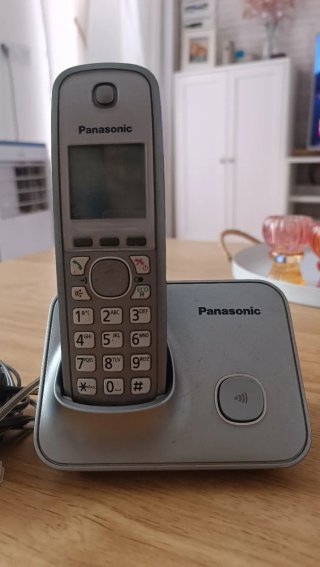 Teléfono Inalámbrico Panasonic Gris