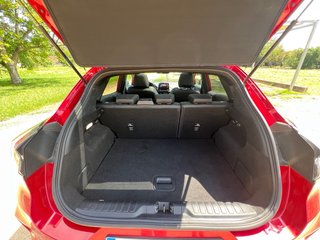 Ford Puma ST 200cv