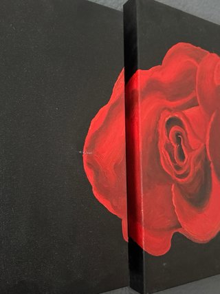 Cuadro Lienzo 5 Piezas Rosa Roja Piano