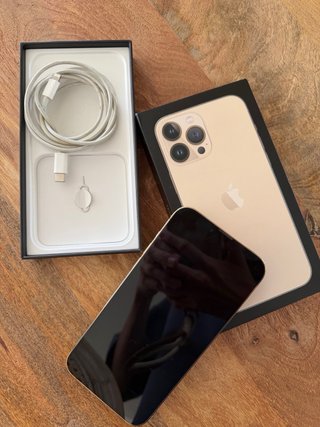 iPhone 13 Pro Max Dorado/Plateado