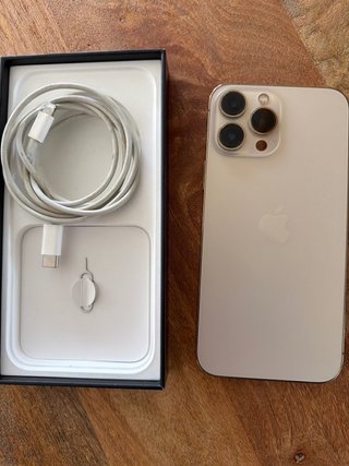 iPhone 13 Pro Max Dorado/Plateado