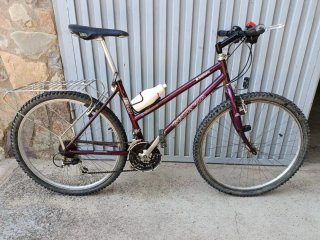 Bicicleta de Montaña Georgia Morada