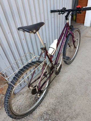 Bicicleta de Montaña Georgia Morada