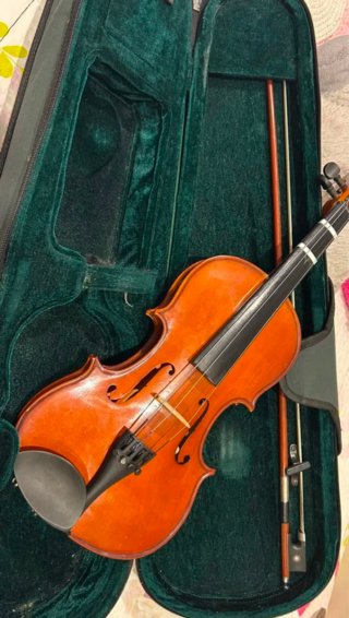 Viola de inicio con funda y arco