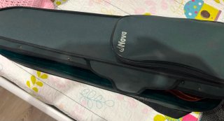 Viola de inicio con funda y arco