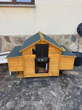 Gallinero con puerta automática