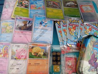 Lote de cartas Pokémon
