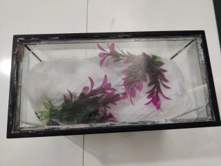 Acuario pequeño con accesorios
