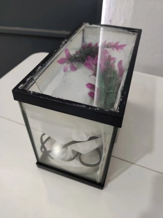 Acuario pequeño con accesorios