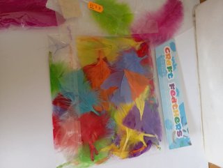 Plumas para manualidades