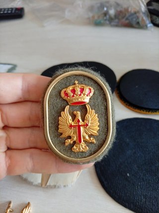 Lote de 12 Parches y 5 Insignias Militares