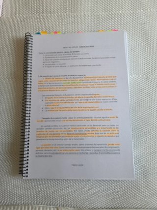 Manual de Derecho Civil. Derechos Reales.